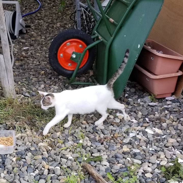 6e0d0081 7d46 4ad9 adab 5a9d0965cb37 1564921724369