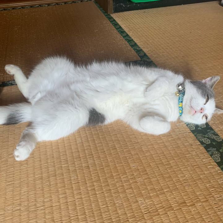 6e0d22b6 7796 433d 8174 7c6e1e92c00e 1656200516808