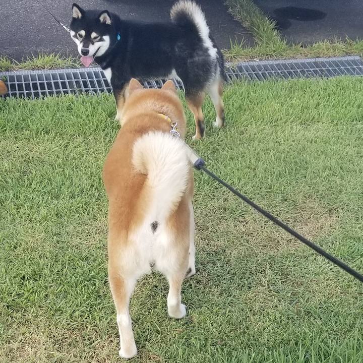 6e0d2aa1 6e7a 4a77 b6d1 621b06299433 1692693046396