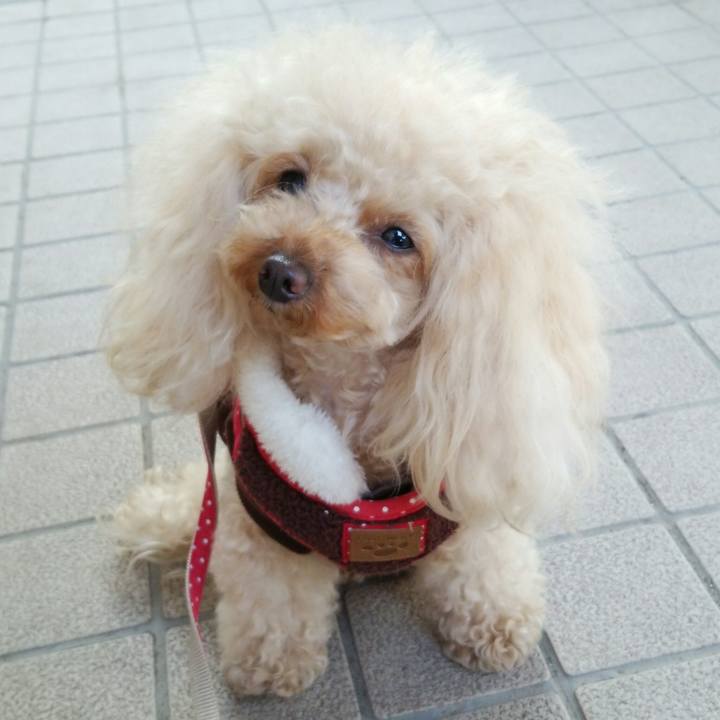 6e0d2c0a 9853 4846 a313 e31f13f013b7 1515835925678