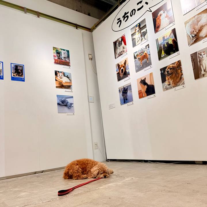 6e0d3dfc b18e 45dd bae3 4ee2451fea97 1762211445313