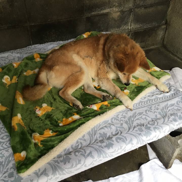 6e0d467a c242 4a99 a3b2 b4ad3cd5a4e2 1528878575339