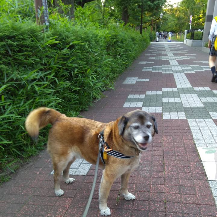 6e0d8649 8d47 4939 9652 0094fe16df20 1560419342739