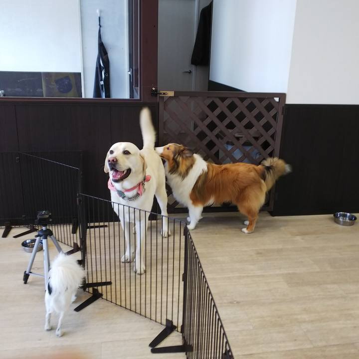 6e0d9305 9e82 47af b8d2 d3037a8bf8bc 1523853902711