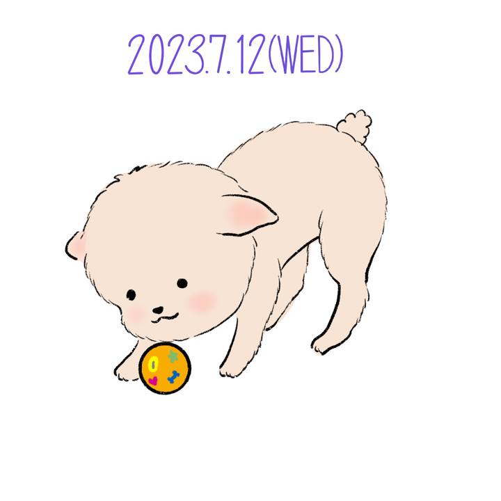 6e0da050 d4d3 4669 8688 49625adf505e 1689165080588