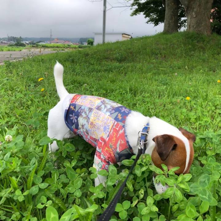 6e0da67b b21c 4e56 a408 4206710fcf74 1595404079140