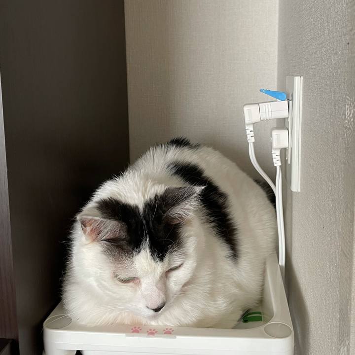 6e0dae85 2f3a 4079 8fdf 1ddbd14af986 1622172593089