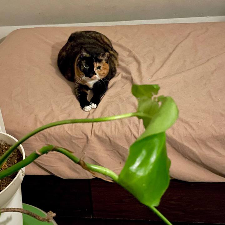 6e0dd4f9 6246 4651 bdcd eccb7e7bf4e5 1744615830764