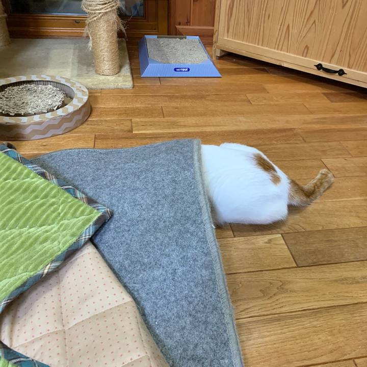 6e0de4b6 3f59 4af5 8a21 49a68f5de09c 1554901741439