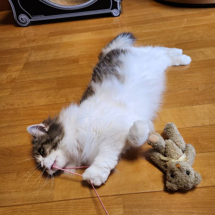 6e0e14d5 ab13 48b6 9463 fb4cb0478a12 1751491908046