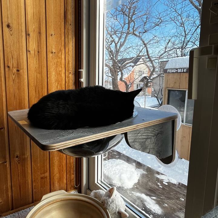 6e0e44b9 7edc 4856 b5ad 347ef2fff1b3 1706071199377