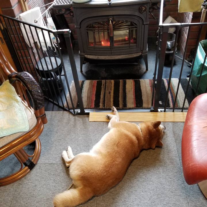 6e0e63f7 50f4 4d32 be9f 9e40a26cb175 1602720494116