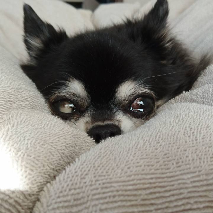 6e0e6e19 611a 4022 87eb 54b6ac0ea39a 1550617212178