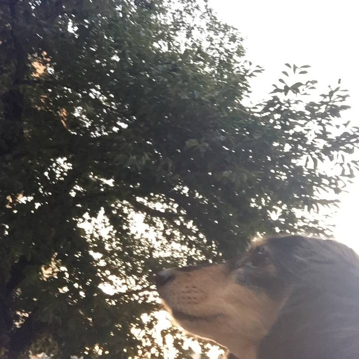 6e0e6fc8 8991 4772 b66c 1f13bbee2f7f 1533464613077