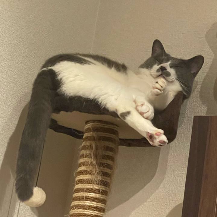 6e0e7f30 2c4f 49d4 b8cc 62bb710f1a29 1716562764786