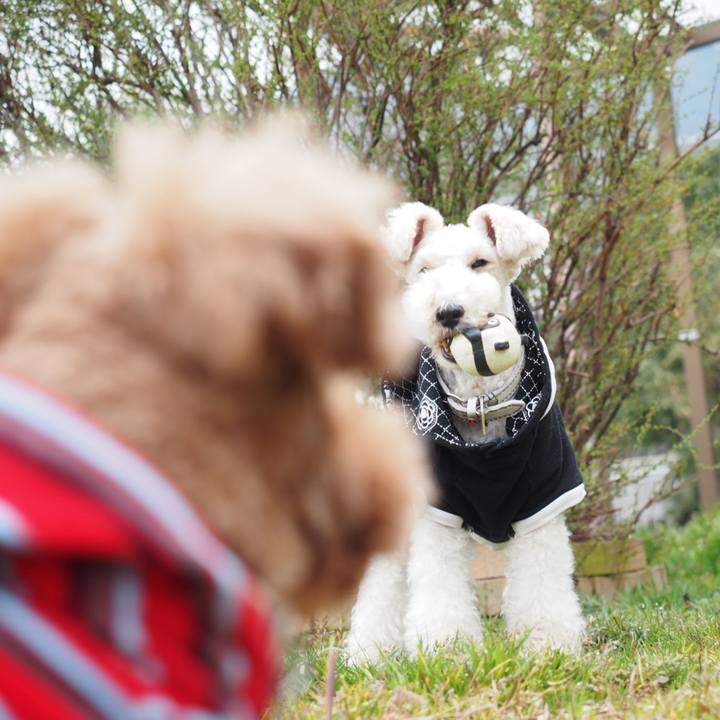 6e0eb3c1 6731 447b 9c8c 7a4b9da0b814 1551928696845