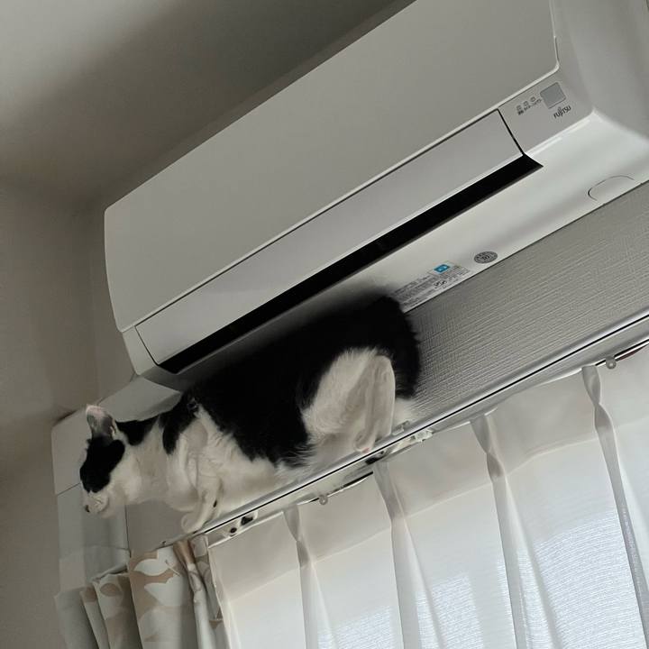 6e0eeda5 6ff7 4ede 84f0 6ff57111564d 1734705154560