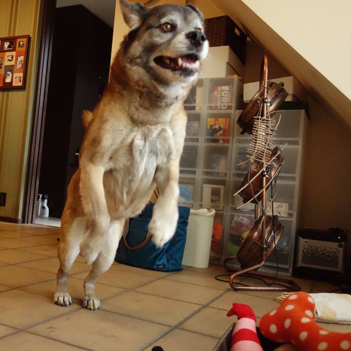 6e0efce1 5e3d 4b04 a0c3 876369d09239 1629506008625