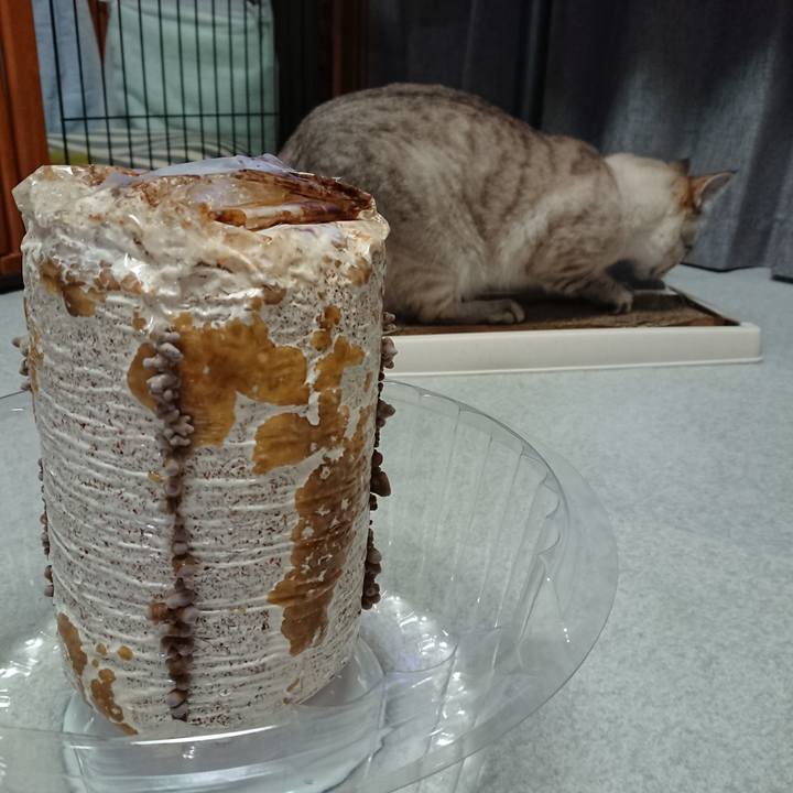 6e0f0937 0ec3 414f 8b6c 696f2a126dc4 1601718559305