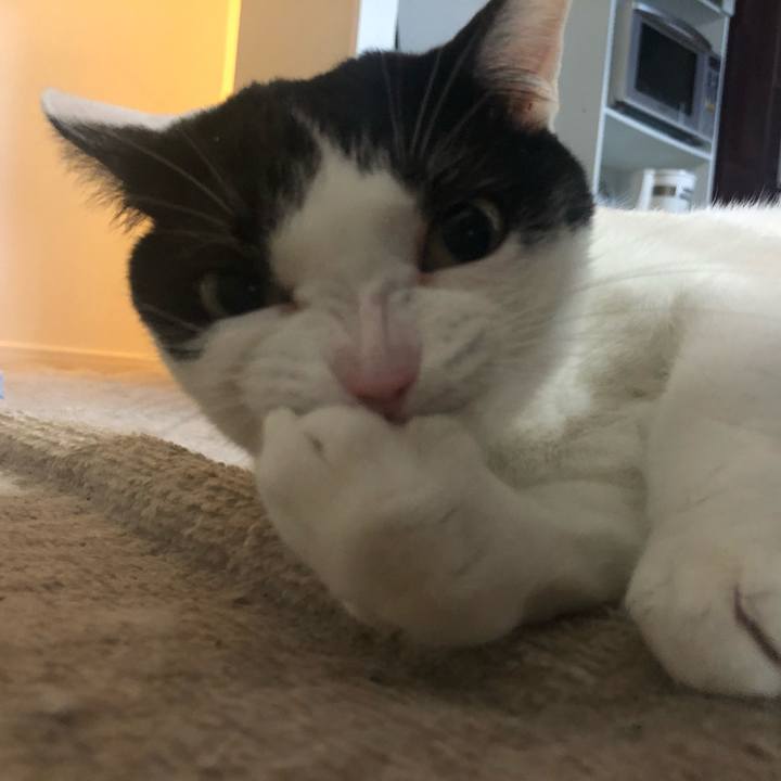 6e0f0d75 3b9f 4709 9a06 60607ed967d2 1547130069762