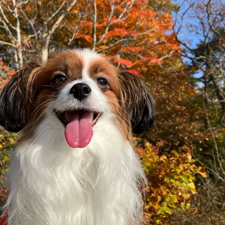 6e0f174f 656d 48a0 8a80 41589f693859 1730244617194