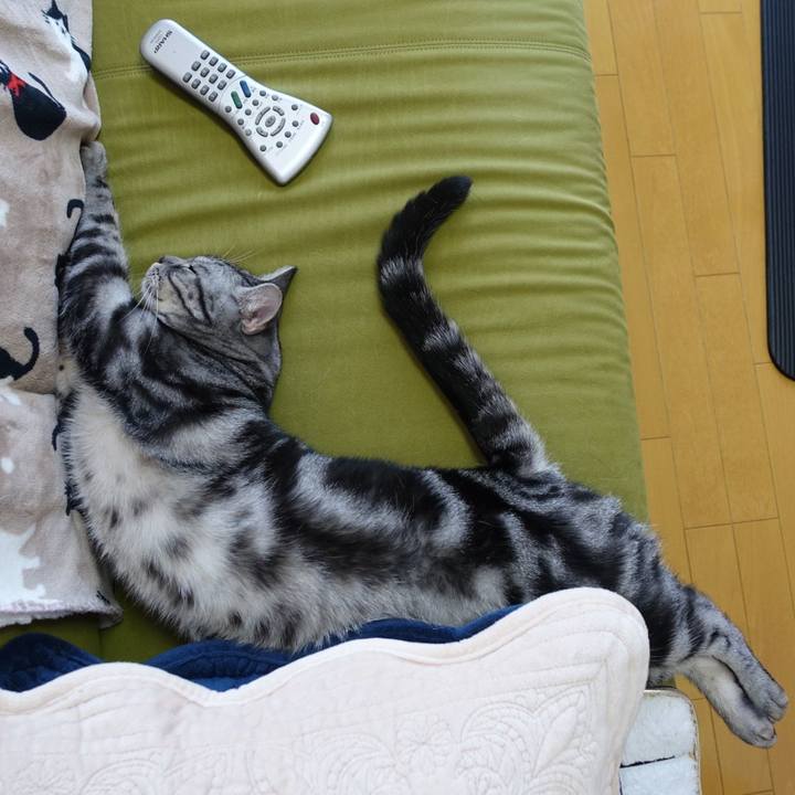 6e0f63b3 073e 45d0 81b0 898553fe0c17 1524114822025