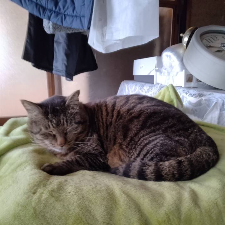 6e0f798d bf39 48bf aa97 65f5a52a4922 1680393456967