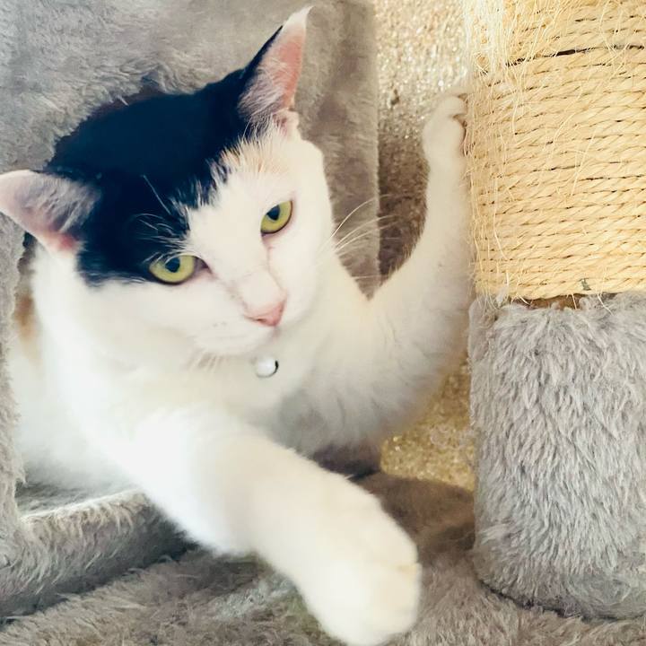 6e0fe5e6 934f 4a08 8fd9 24853d921124 1690155500499