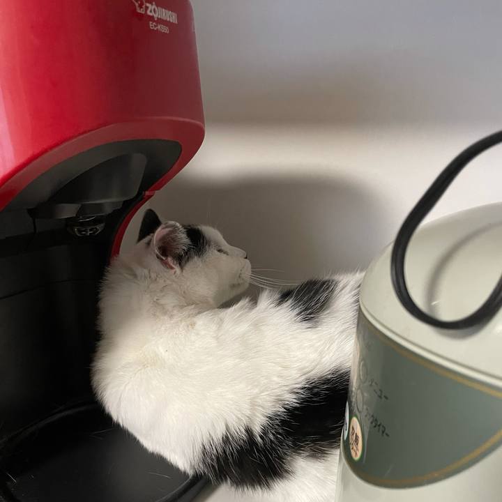 6e0ff0ad 8a33 4bf2 bbd6 3aade4281c99 1606275290362