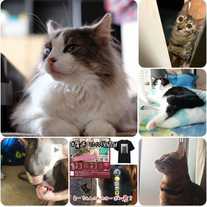 6e1005ec 754c 486c 8d37 c3a0deafae18 1567241956790