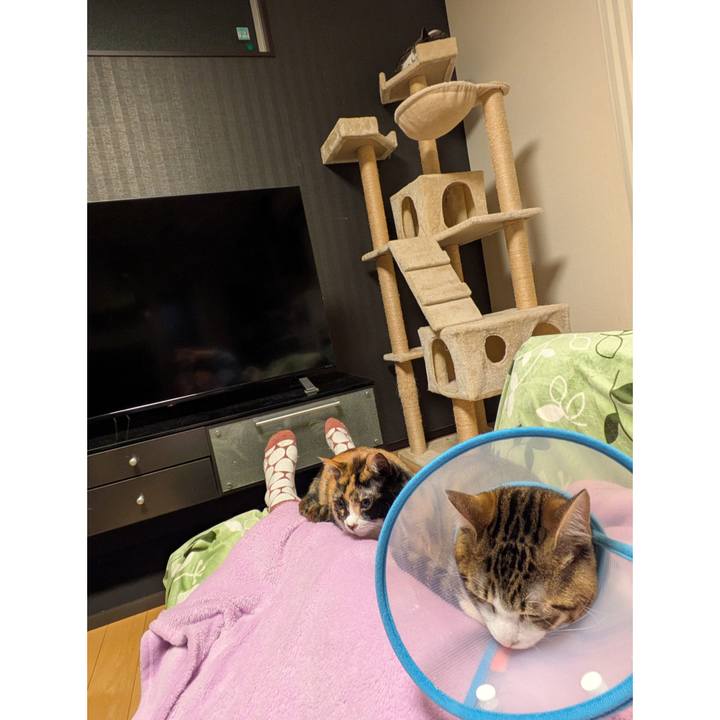 6e102f3d 5bb0 4c75 ad6d 64324173fd9d 1740359872192