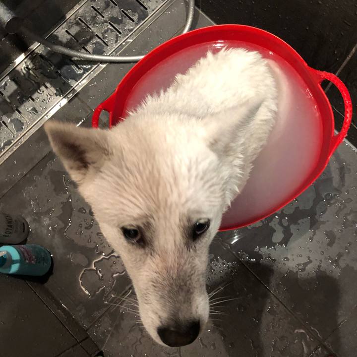 6e1062e8 de2e 4345 9b35 826ae1f14fb4 1522936437806