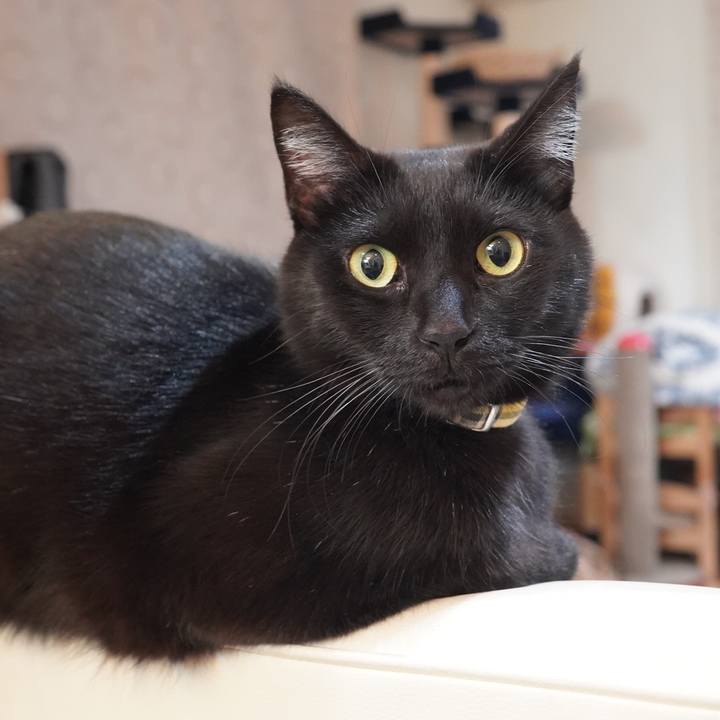 6e107272 f061 4b69 8f9c 708fac267d98 1612364563404