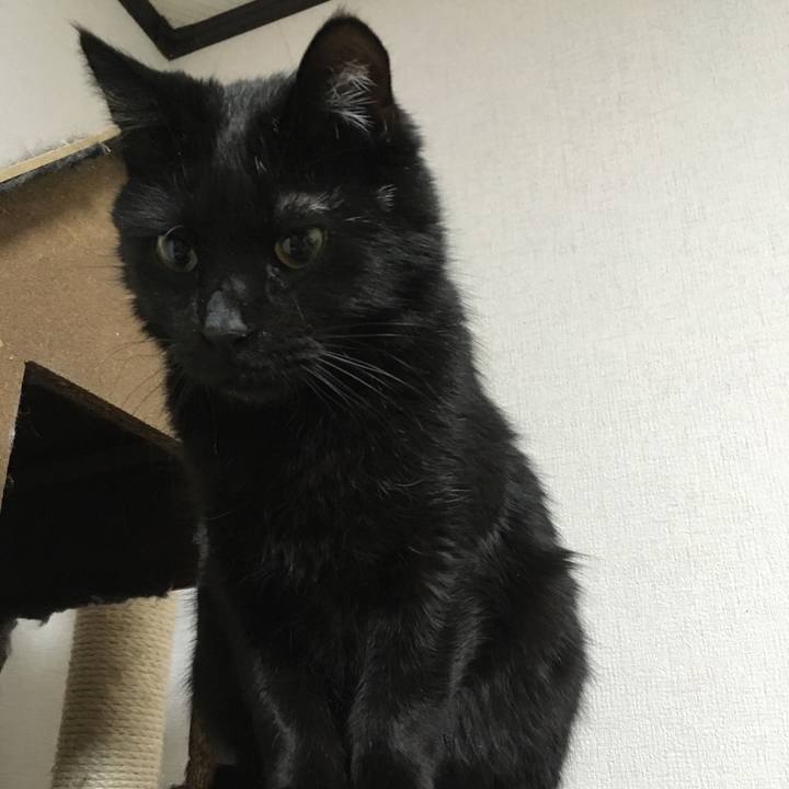 6e10a112 5e63 466a 815e d09685b8e685 1548080042436