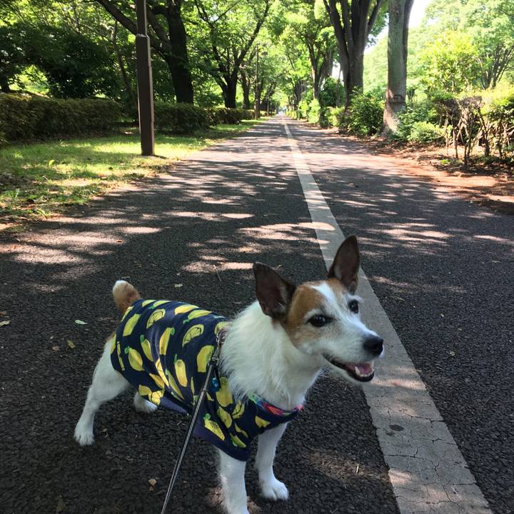 6e10c5aa 3de1 4537 bda1 28162ccd110e 1653867022081