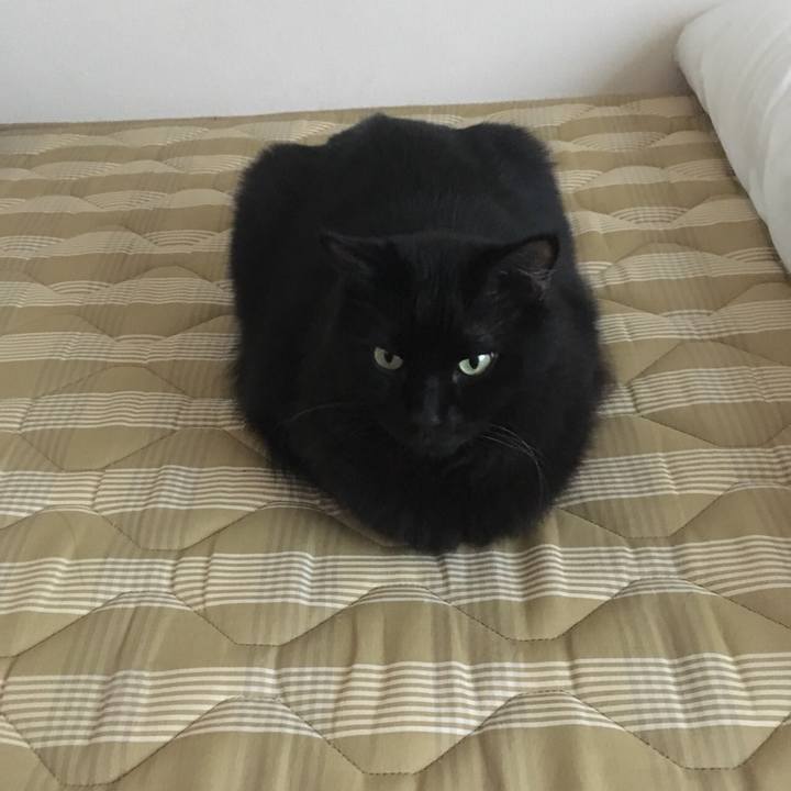 6e10dee8 133e 4f60 8fba f61ce8e67598 1539251074728