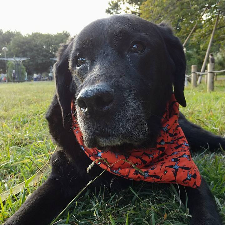 6e111b46 038c 458f bd70 7d0a003d9d21 1761196931125