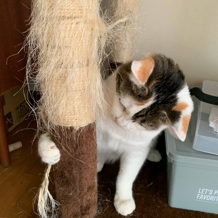 6e112089 f550 426f 98c7 8fc114983b43 1649979900689