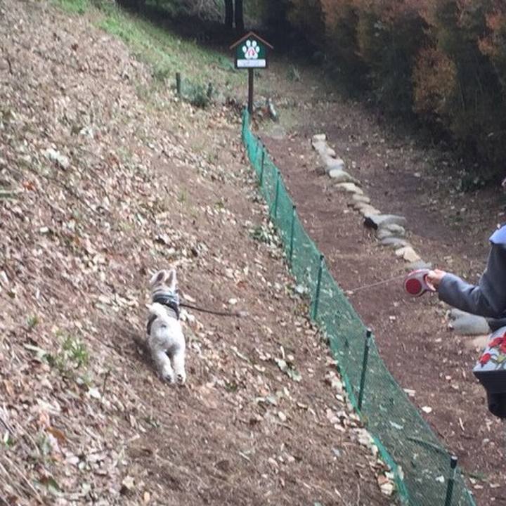 6e113ab6 c8d2 400c b0aa eab5424aa99b 1510046262053