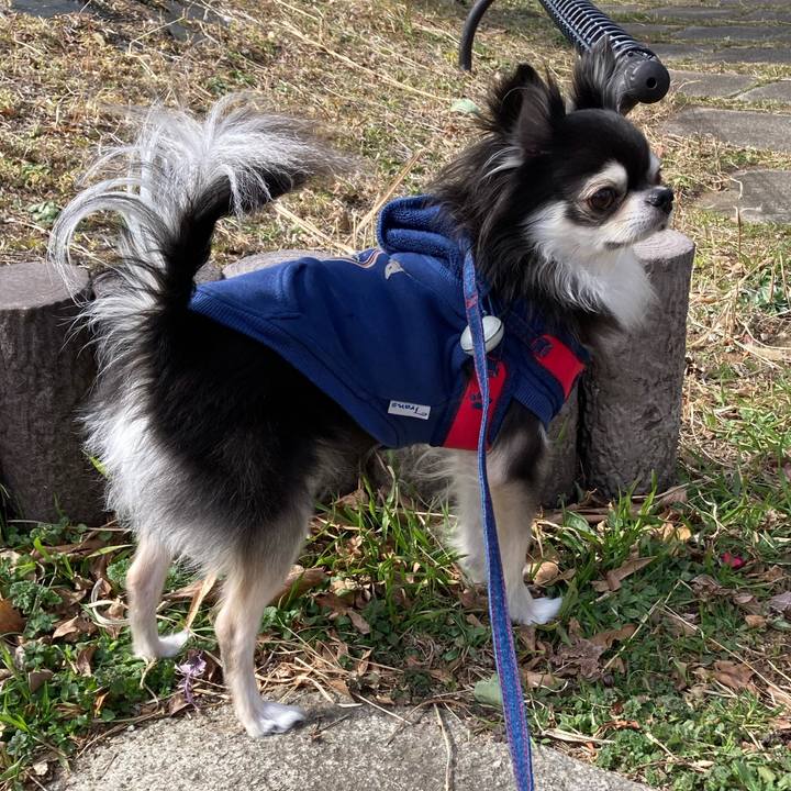 6e116f7e df83 4f1c b5fc 1583015483c3 1708190331719