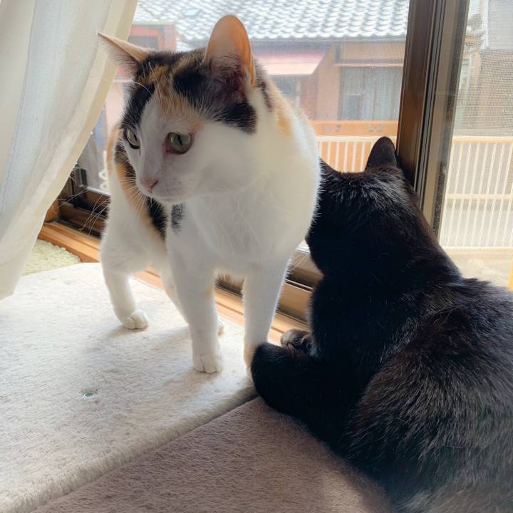 6e117a50 a01c 4a83 9dab 88a6761fdaad 1558665278980