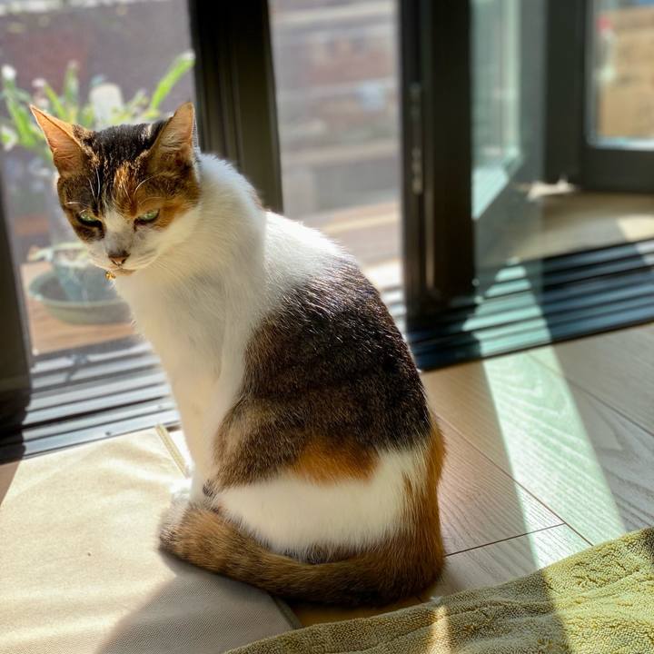 6e119c88 eae5 4bad b857 2e7f88ce0cee 1667439986773