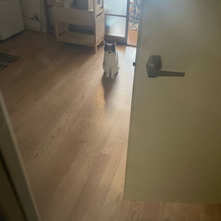 6e11c74a 99e9 417a b547 677391ba758d 1695721759036