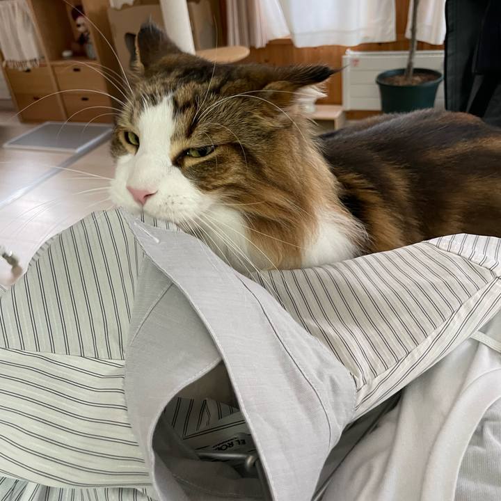 6e11c7de 7c88 480c 8687 3011da3ed426 1697320550328