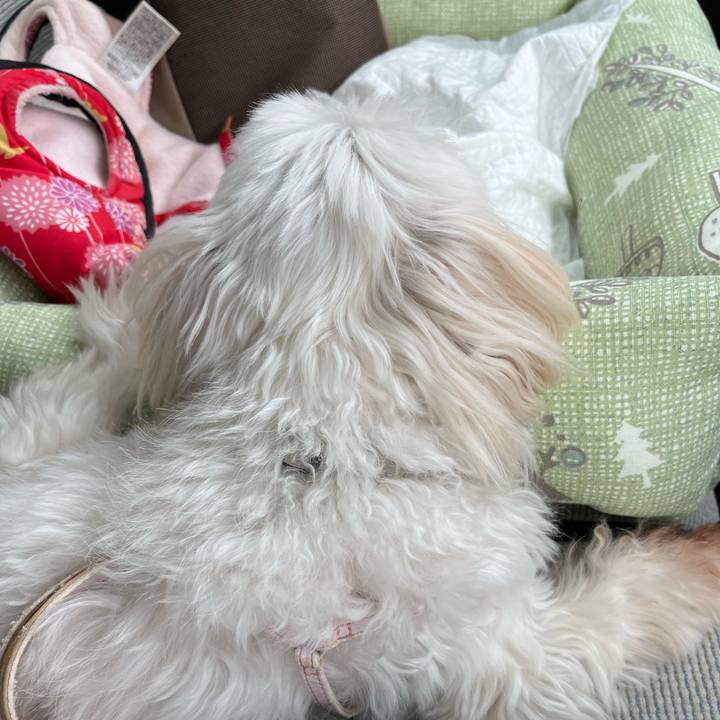 6e1231b9 d744 425f 9037 d50dd7b6dd58 1668999432948