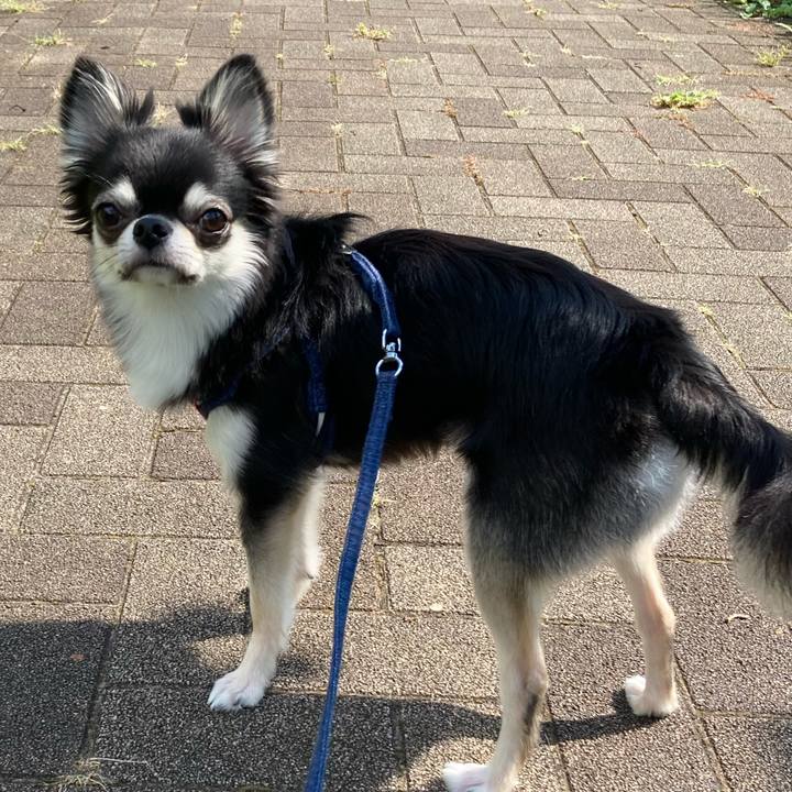 6e1246ae ef2e 47fc 9d01 427c65035d7f 1627098529388