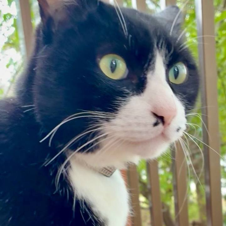 6e126986 14a5 4c0b 936c 82d1e9bf0dc7 1771473696742