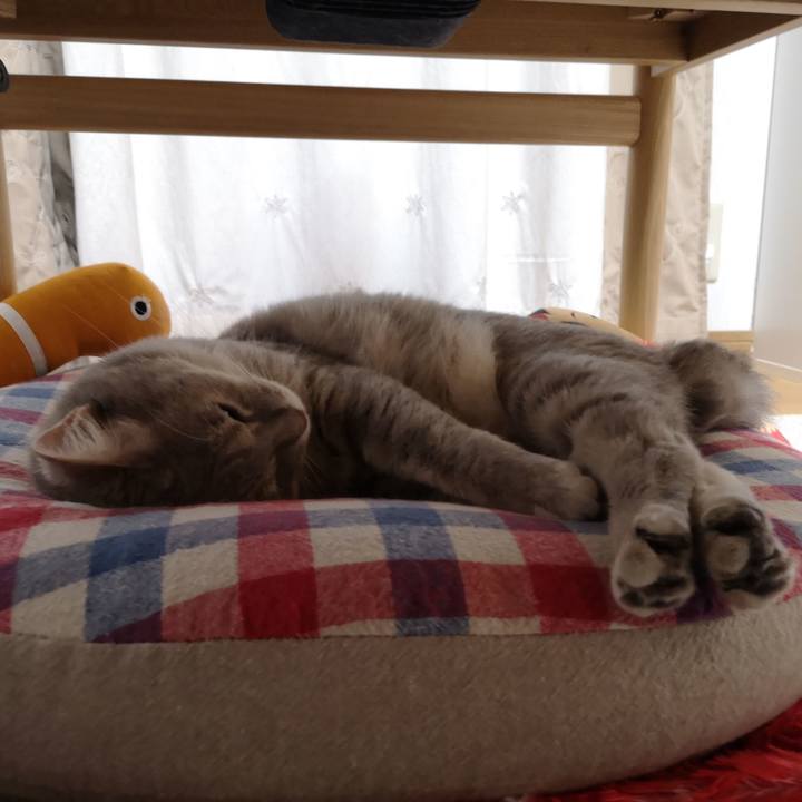 6e12706c 8231 4678 8a05 38963ad9af9f 1592575942765