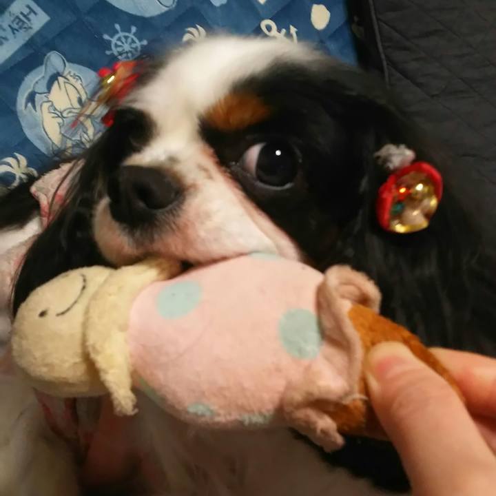 6e127e9c d22d 4e11 ab02 e7bd86ed580e 1514547089767