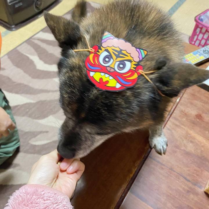 6e129098 5d89 45d1 99c5 b7a68e27c3cc 1643882022446